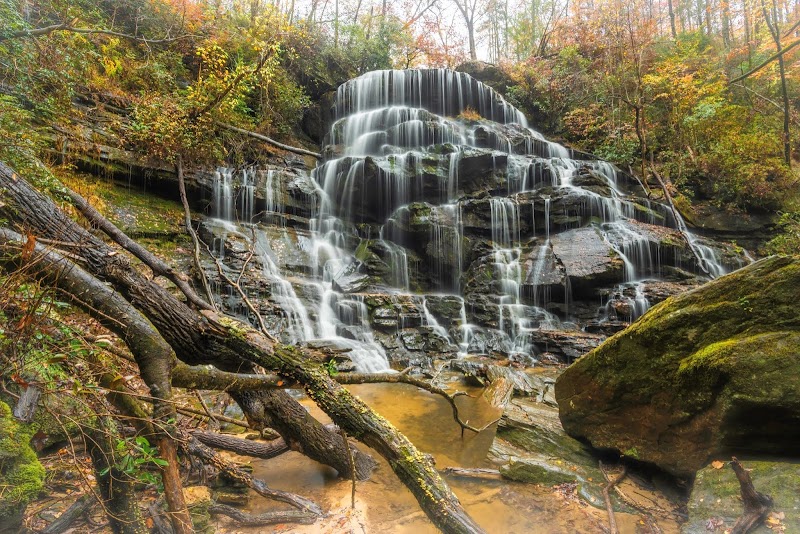 Yellow Branch Falls