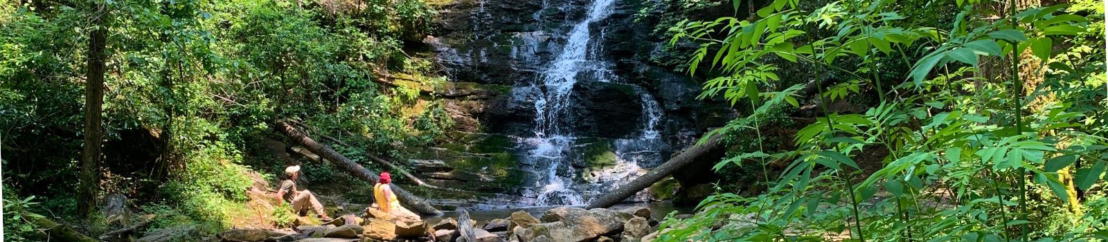 Reedy Branch Falls